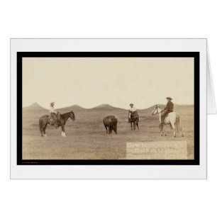 Vaqueros Roping un búfalo SD 1887