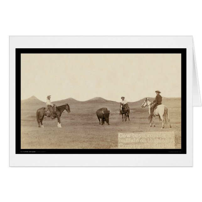 Vaqueros Roping un búfalo SD 1887 (Anverso (Horizontal))
