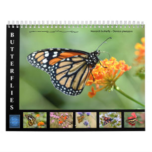 Varias mariposas calendario de 12 meses
