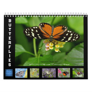 Varias mariposas calendario de 12 meses