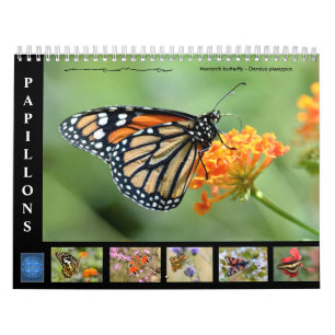 Varias mariposas calendario de 12 meses