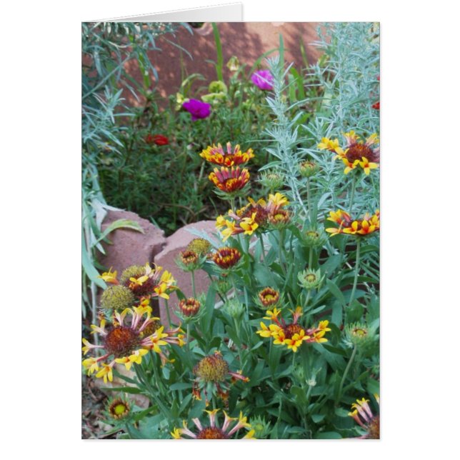 VARIEDAD DE JARDÍN (Frente)