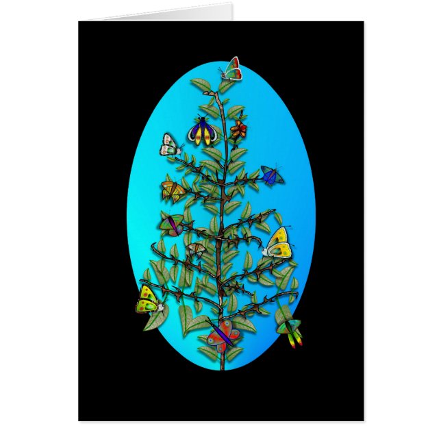 VARIEDAD DE LA MARIPOSA (Frente)