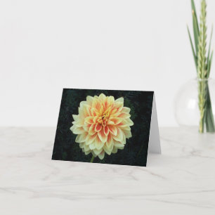 Variedad de tarjetas de notas del interior del Fri