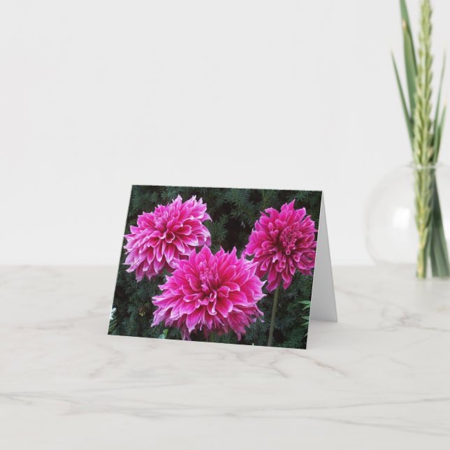 Variedad interior de las tarjetas de nota del (Anverso)