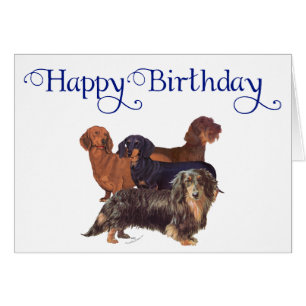 Variedades de Dachshund