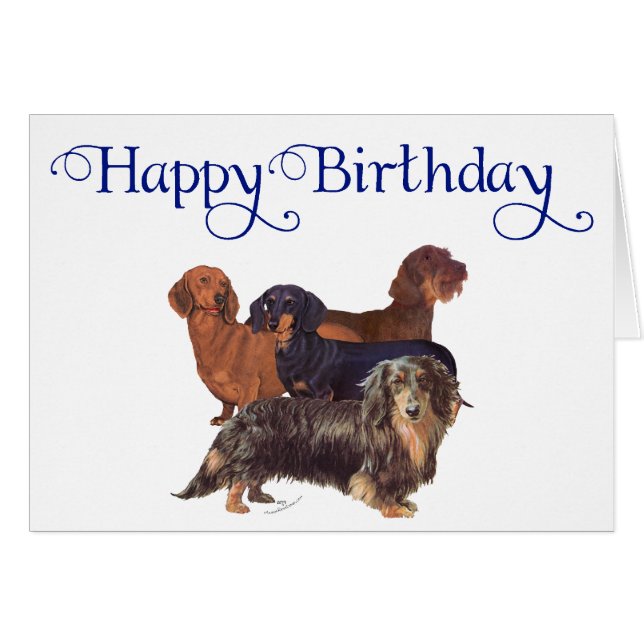 Variedades de Dachshund (Anverso (Horizontal))