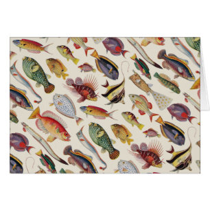 Variedades de pescados