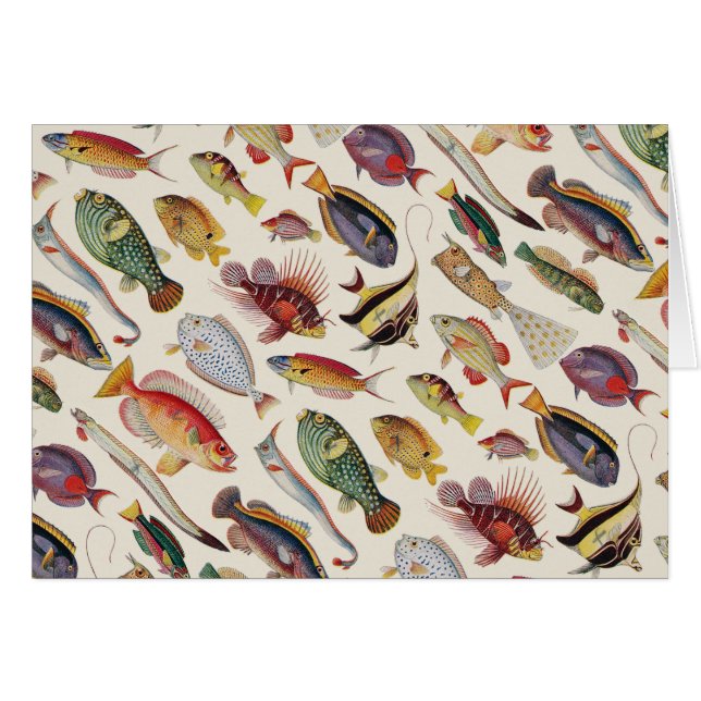 Variedades de pescados (Anverso (Horizontal))