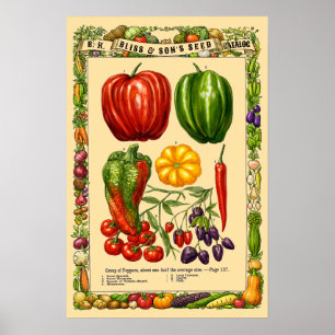 Variedades de Pimienta Arte Botánico Era Victorian