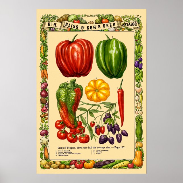 Variedades de Pimienta Arte Botánico Era Victorian (Frente)