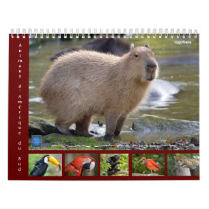 Varios animales de América del Sur Calendario de 1