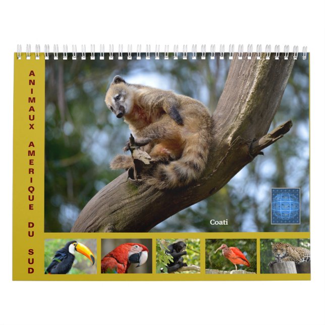 Varios animales de América del Sur Calendario de 1 (Tapa)