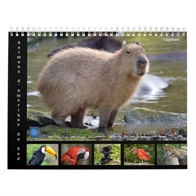 Varios animales de América del Sur Calendario de 1 (Tapa)