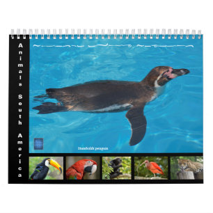 Varios animales de América del Sur Calendario de 1