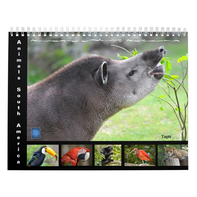 Varios animales de América del Sur Calendario de 1 (Tapa)