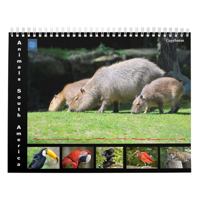 Varios animales de América del Sur Calendario de 1 (Tapa)