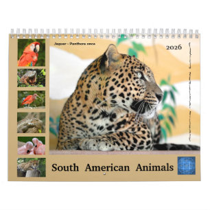 Varios animales del calendario sudamericano