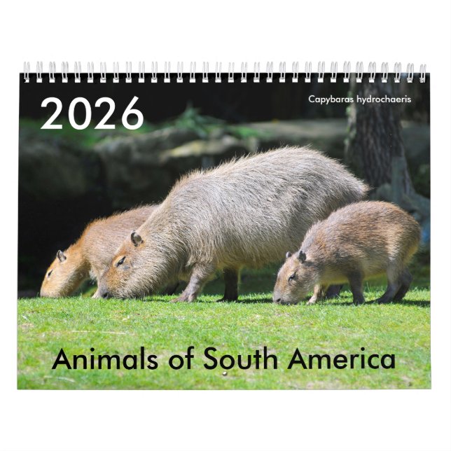 Varios animales del calendario sudamericano (Tapa)