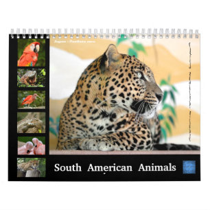 Varios animales del calendario sudamericano