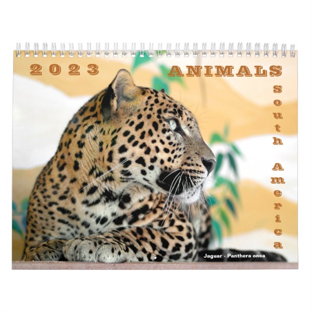Varios animales del calendario sudamericano (Tapa)