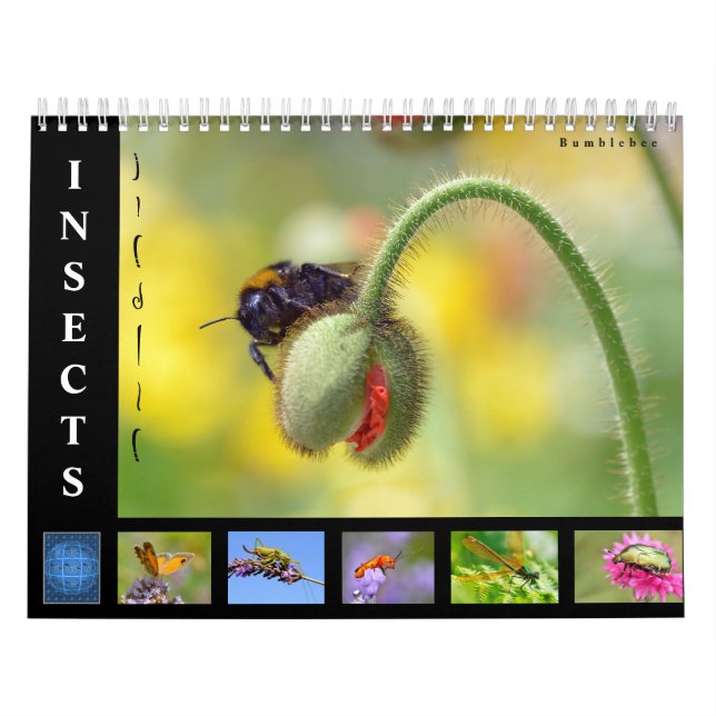 Varios insectos calendario de 12 meses (Tapa)