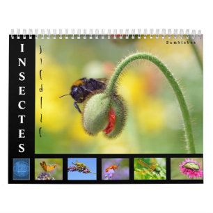 Varios insectos calendario de 12 meses