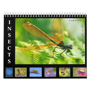 Varios insectos calendario de 12 meses