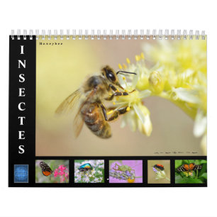 Varios insectos calendario de 12 meses