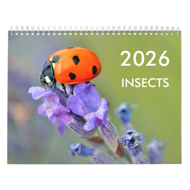 Varios insectos para el calendario de 2023 (Tapa)