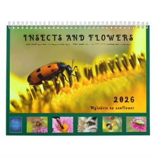 Varios insectos y flores calendario de 12 meses