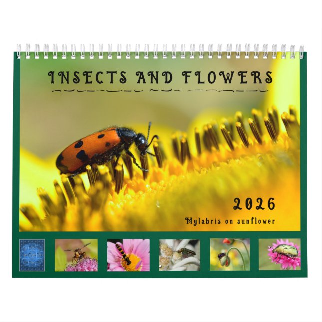 Varios insectos y flores calendario de 12 meses (Tapa)