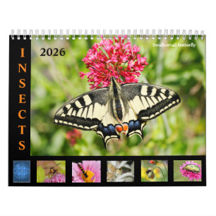 Varios insectos y flores calendario de 12 meses
