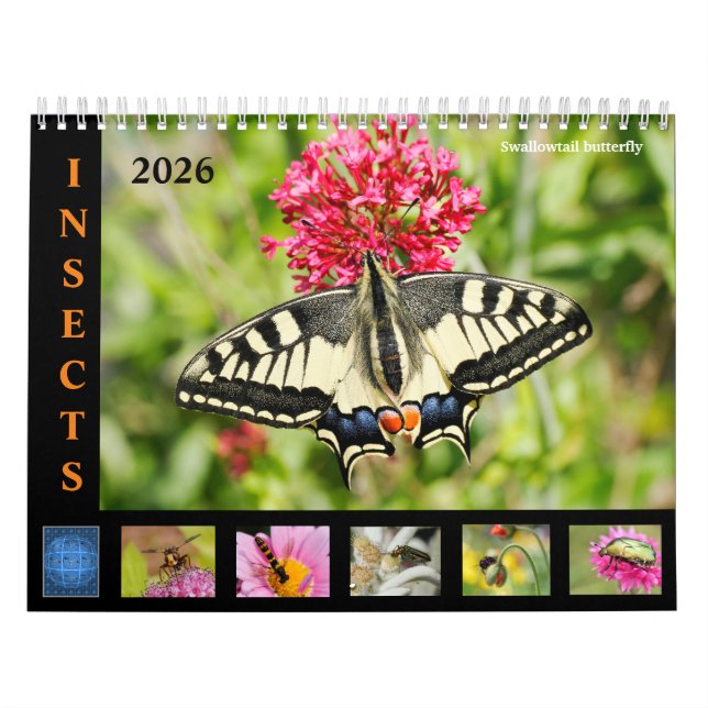 Varios insectos y flores calendario de 12 meses (Tapa)
