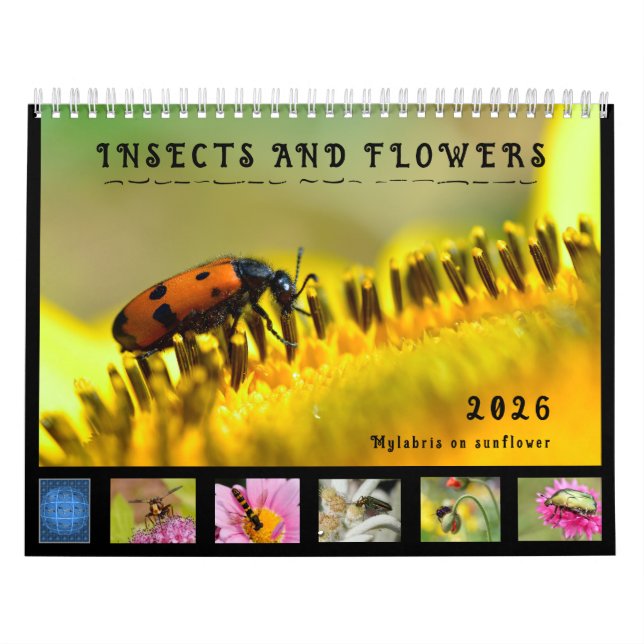 Varios insectos y flores calendario de 12 meses (Tapa)