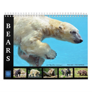 Varios osos calendario de 12 meses