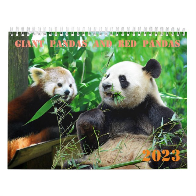 Varios pandas gigantes y el calendario de pandas r (Tapa)