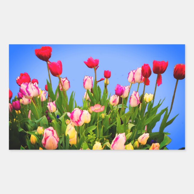 Varios Pegatinas de Tulips #3 (Anverso)