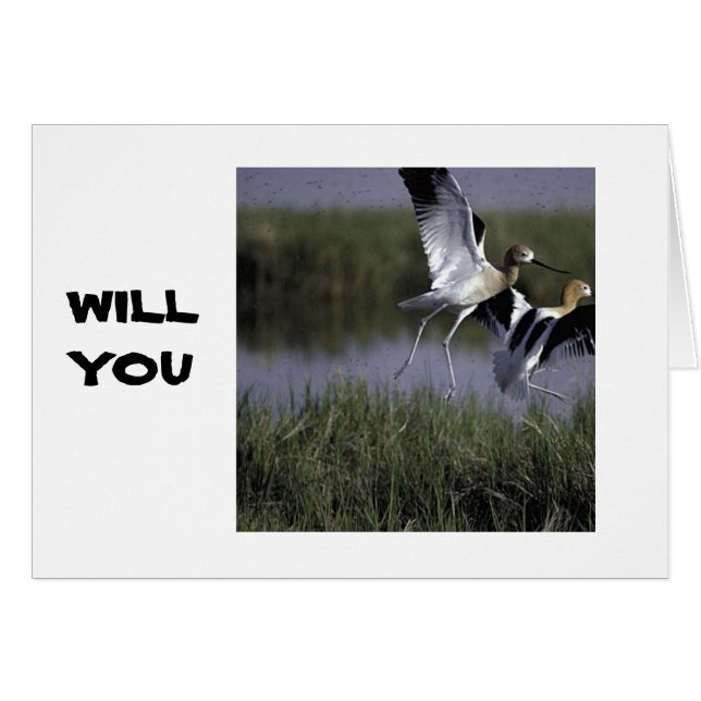 ¿VAS A VOLAR CONMIGO? TARJETA DE AMOR (Anverso (Horizontal))