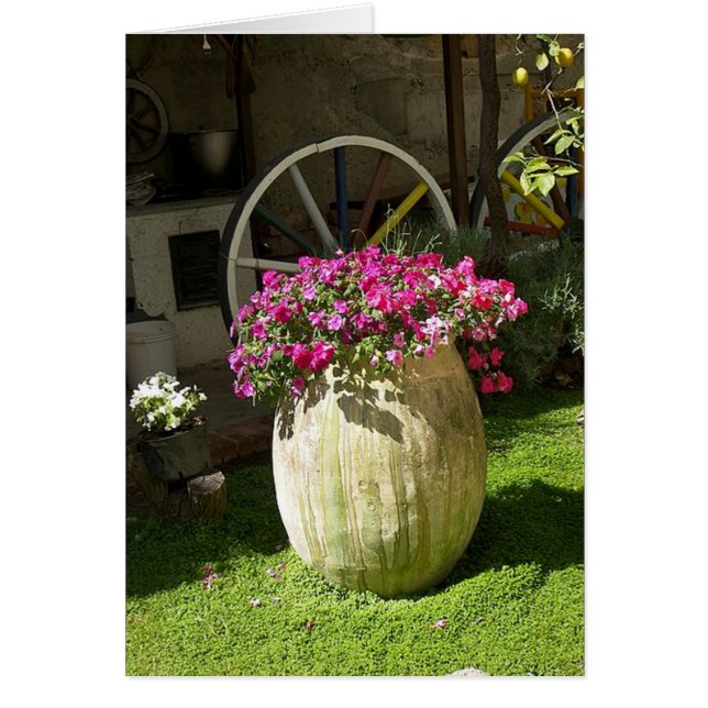 Vase de país (Frente)