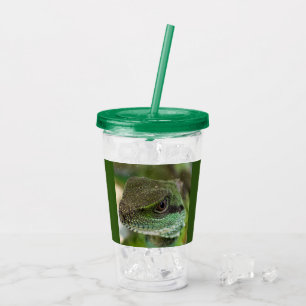 Vaso Acrílico Agama, lagarto