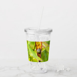 Vaso Acrílico apego