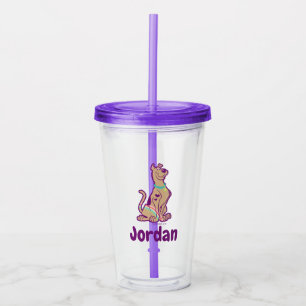 Vaso Acrílico Arco iris Scooby-Doo