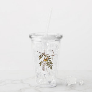 Vaso Acrílico Ave Audubon de la Warbler amarilla con ojos azules