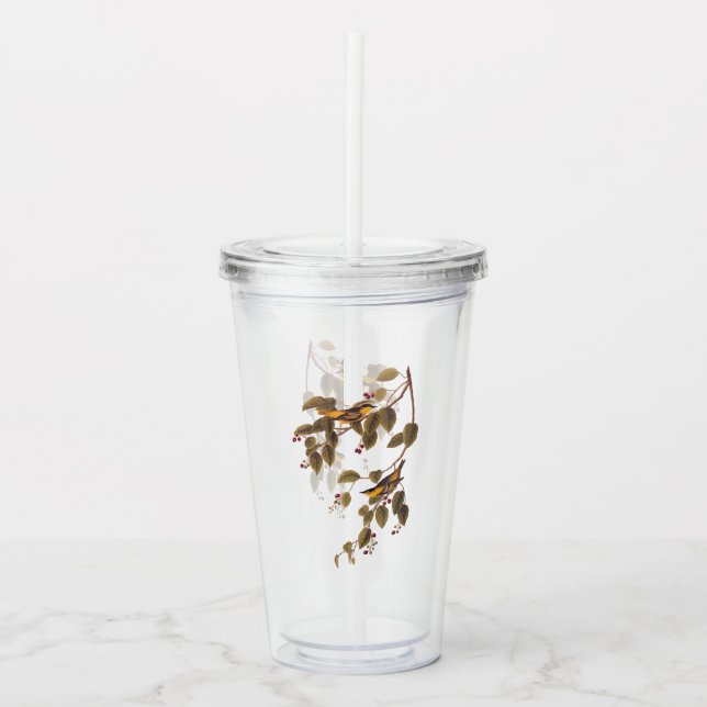 Vaso Acrílico Ave Audubon de la Warbler Carbonada (Anverso)