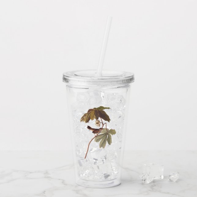 Vaso Acrílico Ave resplandeciente del pantano Audubon en manrake (Reverso (hielo))