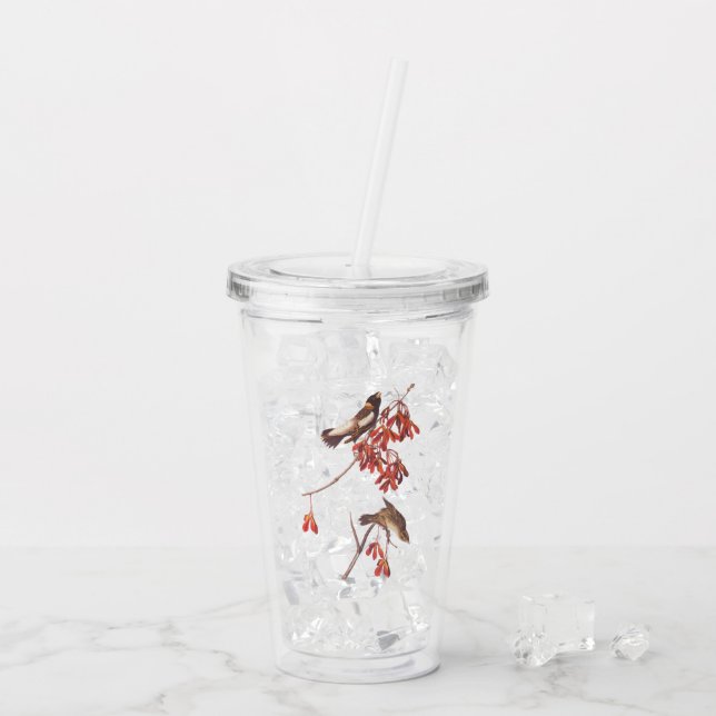 Vaso Acrílico Aves de Audubon haciendo Bunting Rice o aves Bobol (Reverso (hielo))