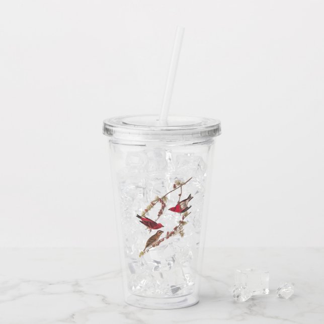 Vaso Acrílico Aves rojas fincas moradas de Audubon en el árbol d (Reverso (hielo))
