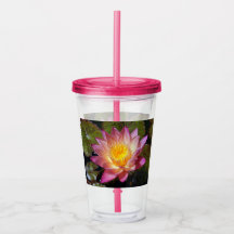 Bonita foto de Lily Water Rosa