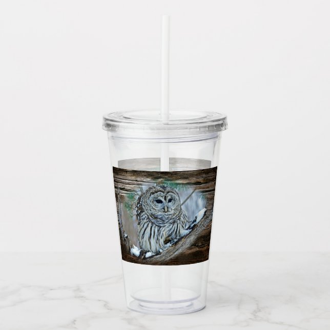 Vaso Acrílico Búho (Anverso)